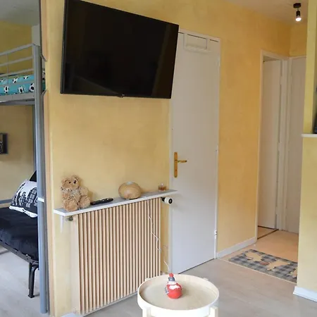 Studio A Deux Pas Des Pistes Avec Ascenseur Et Casier A Skis - Fr-1-593-108 Apartment Les Angles (Pyrenees-Orientales)